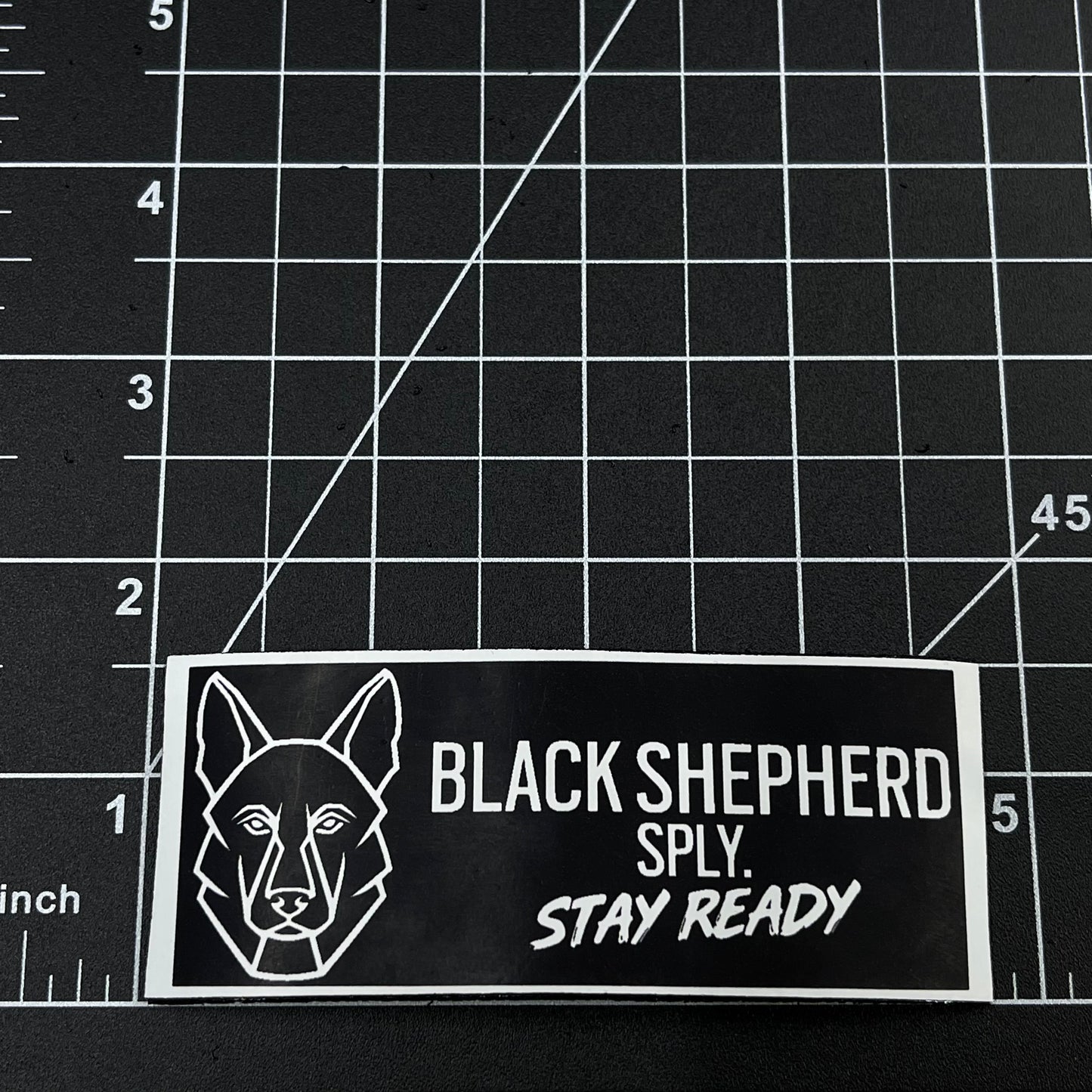 BSS - Stay Ready