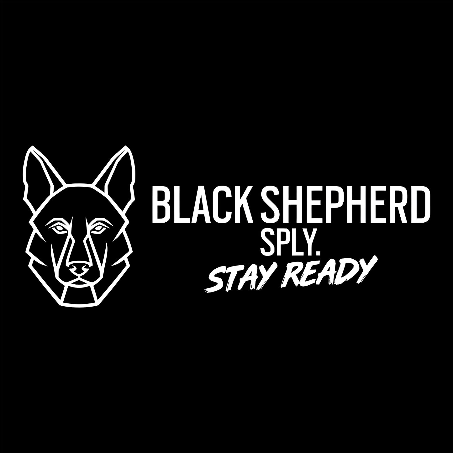 BSS - Stay Ready